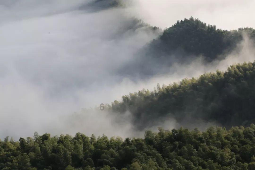 世界大胃王乱吃东西:吞下木盒送情报,死后尸检伴随浓厚恶臭